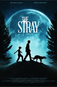 The Stray