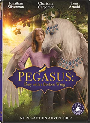 Pegasus: Pony With a Broken Wing